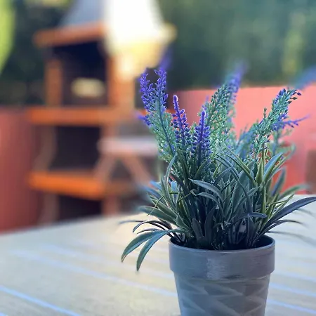 Casa Hortensias Quintana Vv-1761-as Llanes