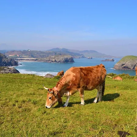 Casa Hortensias Quintana Vv-1761-as Casa de Férias